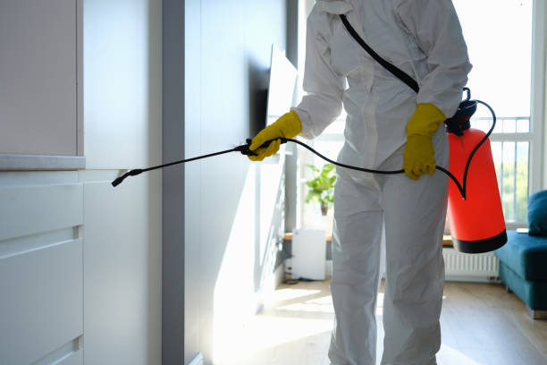 Best Localized Mold Remediation (e.g., coastal areas, humid climates) in Rock Springs, WY