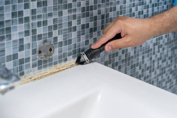 Best Emergency Mold Remediation in Rock Springs, WY