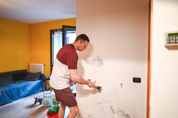 Best Residential Mold Remediation in Rock Springs, WY